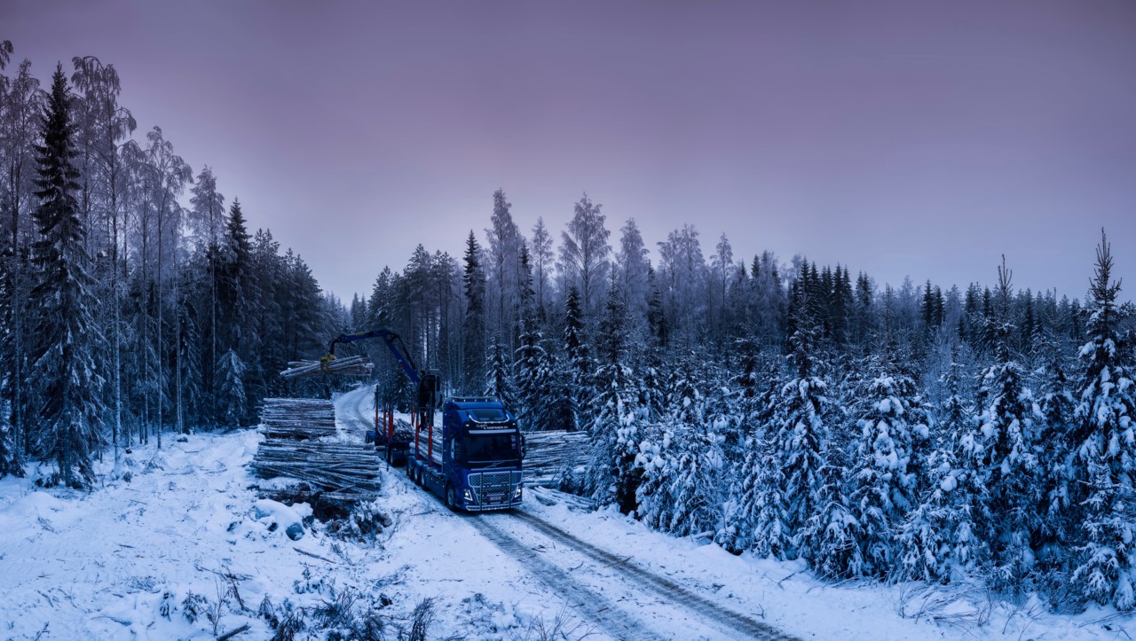 Завантаження лісоматеріалу у фінському лісі.